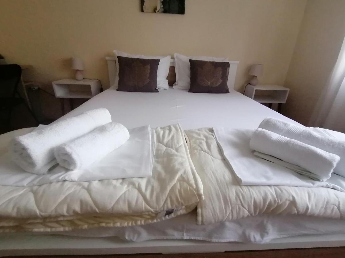 Haus Apartman Zajecar M&L מראה חיצוני תמונה