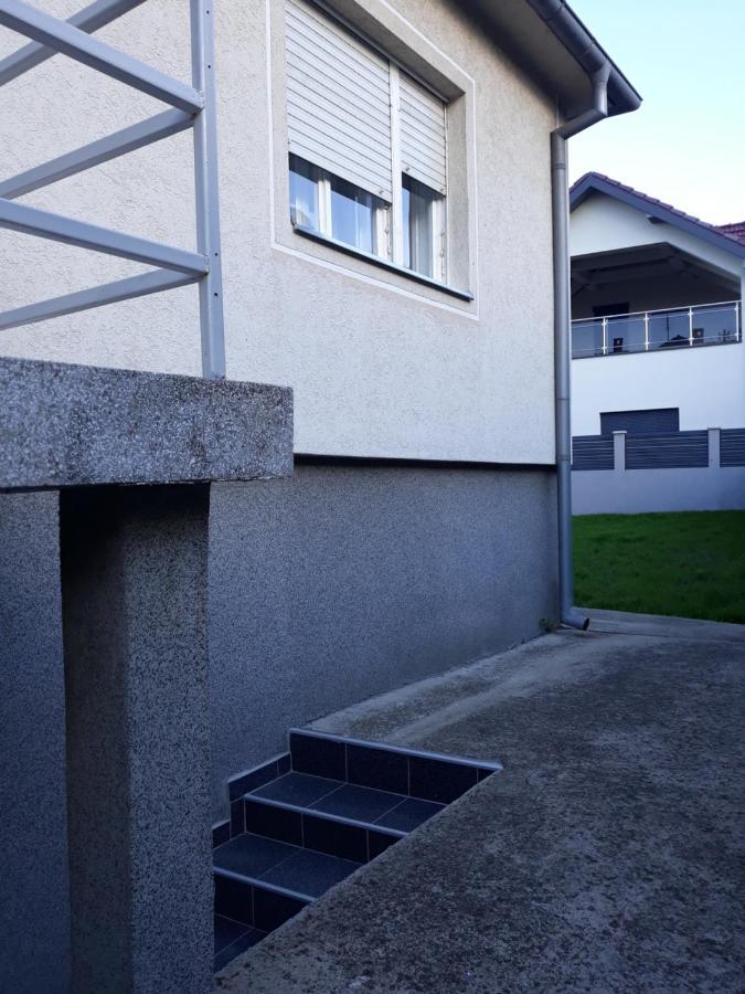 Haus Apartman Zajecar M&L מראה חיצוני תמונה